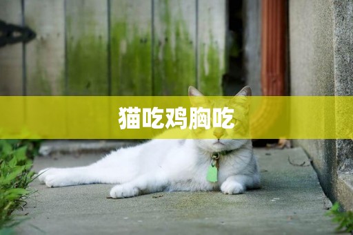 猫吃鸡胸吃